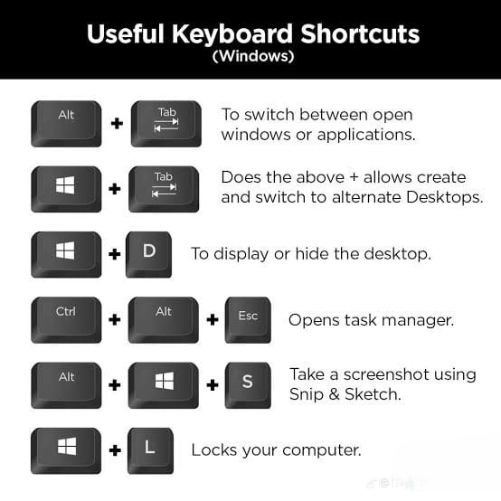 HTML CSS JS Project 9